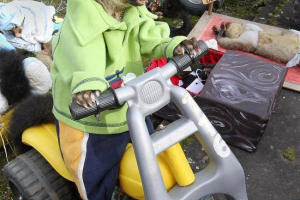 Kako prikupiti novac za školu sa životinjama